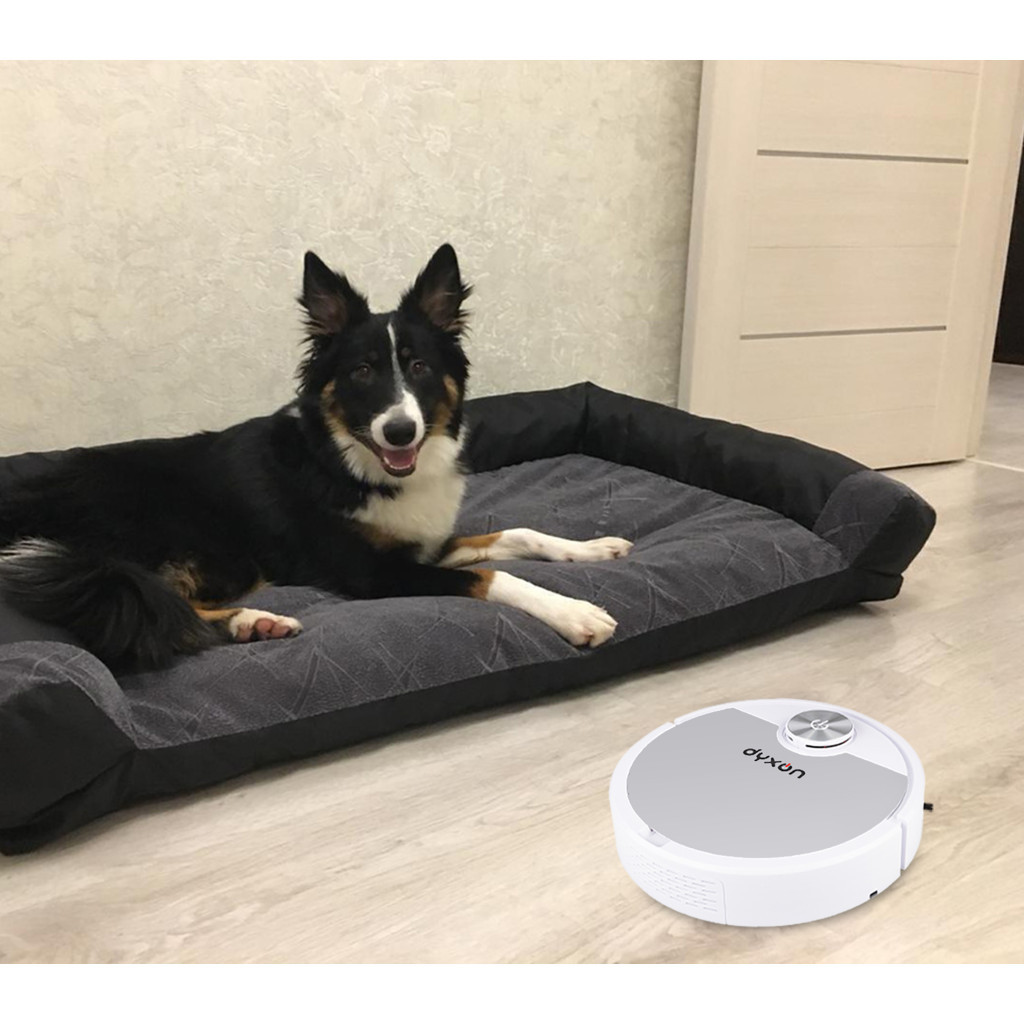 Пилосос DYXON MEGAVAC 3000 white-silver - зображення 9