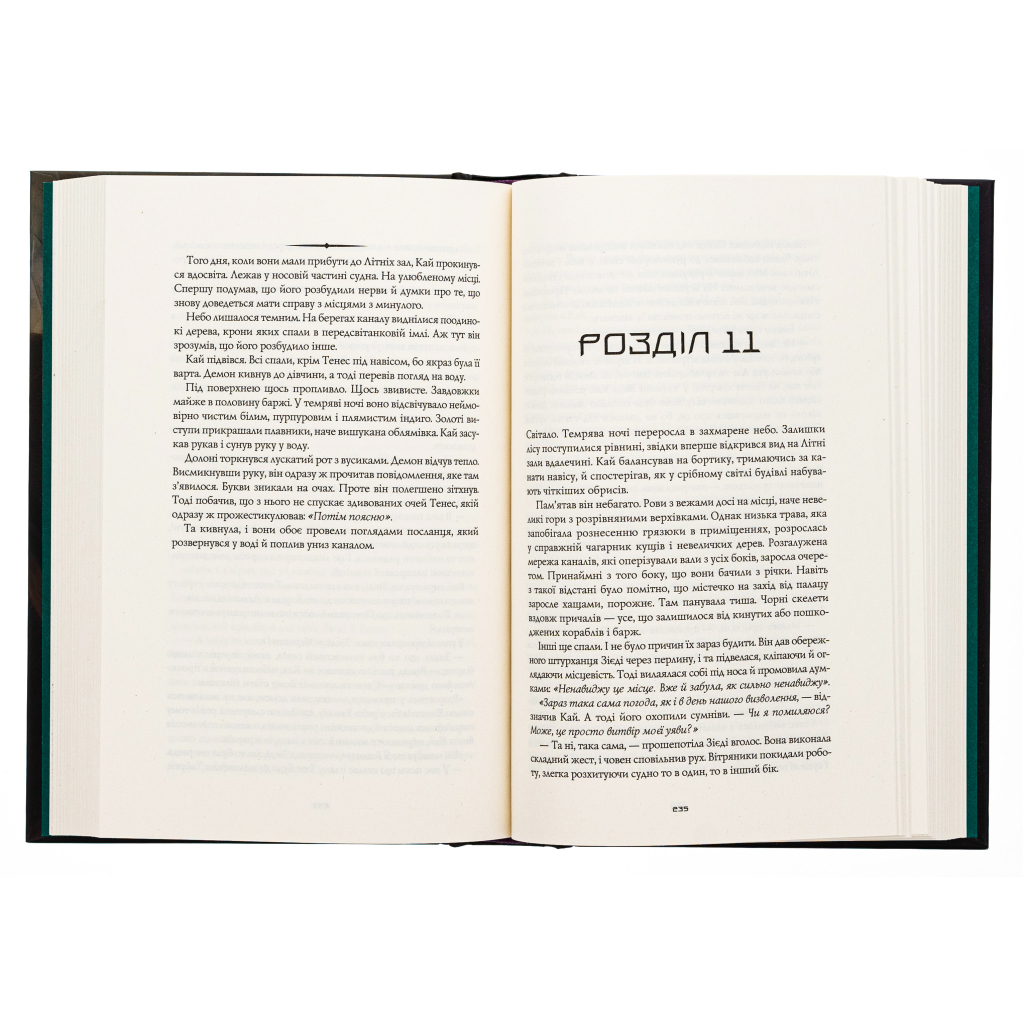 Книга Король відьом - Марта Веллс Жорж (9786178287290) - зображення 5