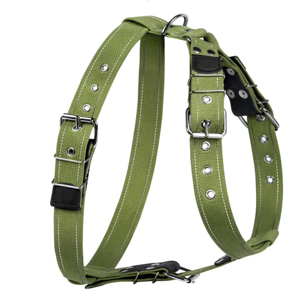 Шлея для собак Collar для великих собак N2 68-91 см зелена (0646) - зображення 2