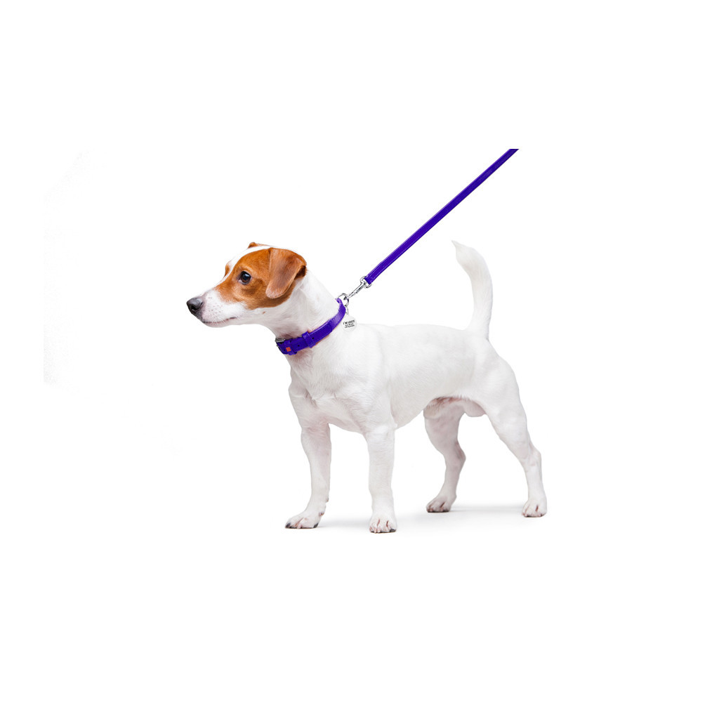 Повідець для собак WAUDOG Glamour шкіряний XS фіолетовий (33729) - зображення 3