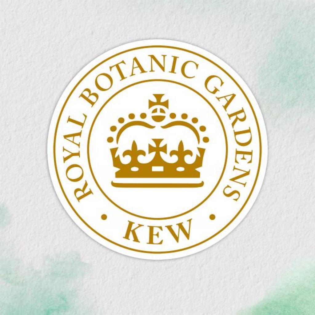 Кондиціонер для волосся Herbal Essences Пасифлора та рисове молоко 275 мл (8001841436746) - зображення 5