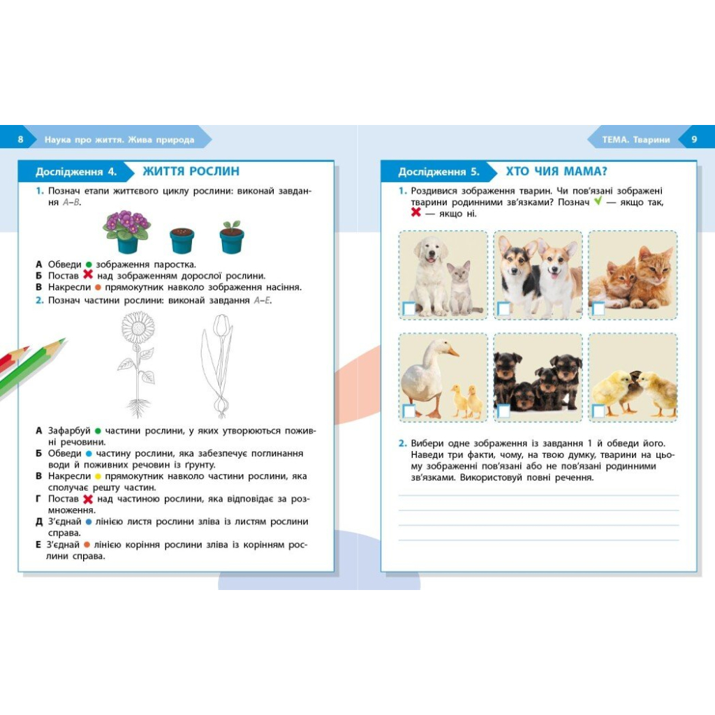 Робочий зошит STEM-старт. 3 клас. Наука про життя - І.В. Потапенко, О.А. Дубовик, О.В. Онопрієнко Ранок (9786170995506) - зображення 3