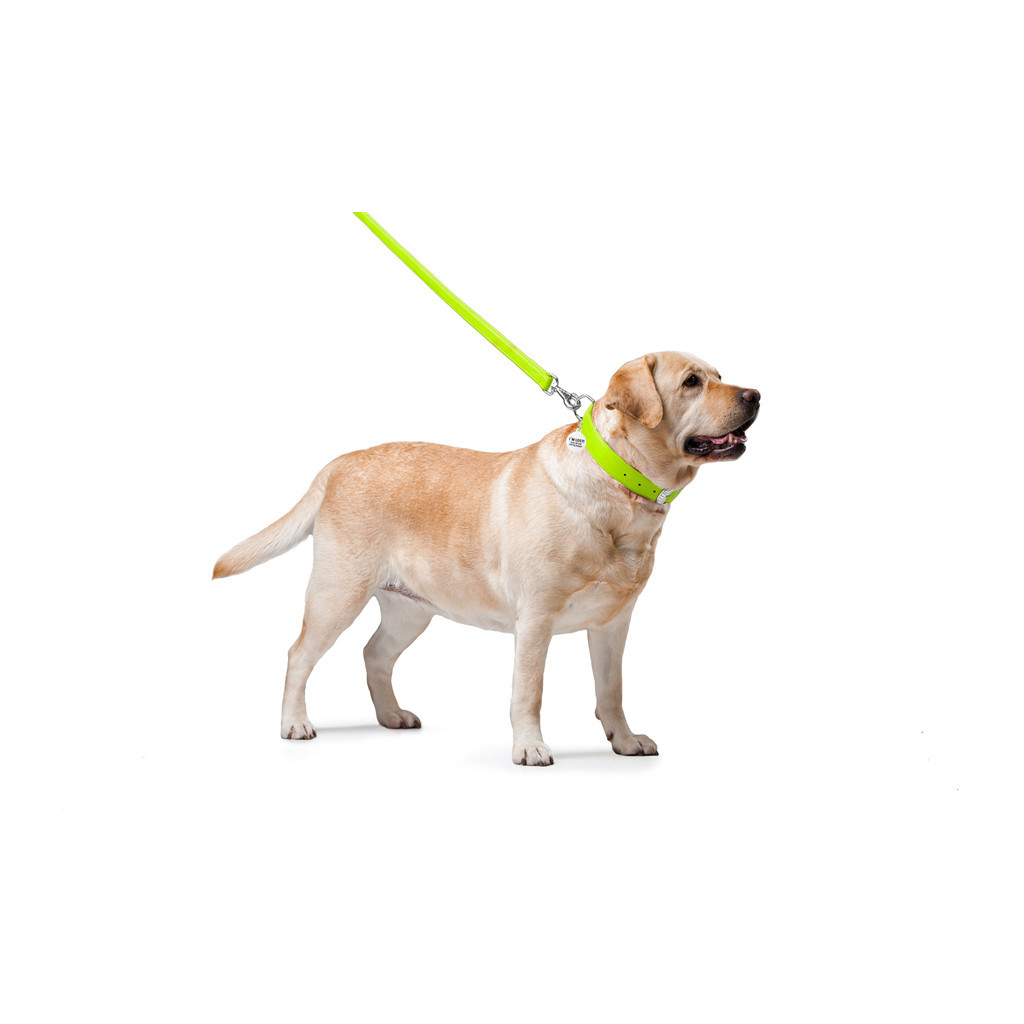 Повідець для собак WAUDOG Glamour шкіряний M-XXL салатовий (33765) - изображение 3