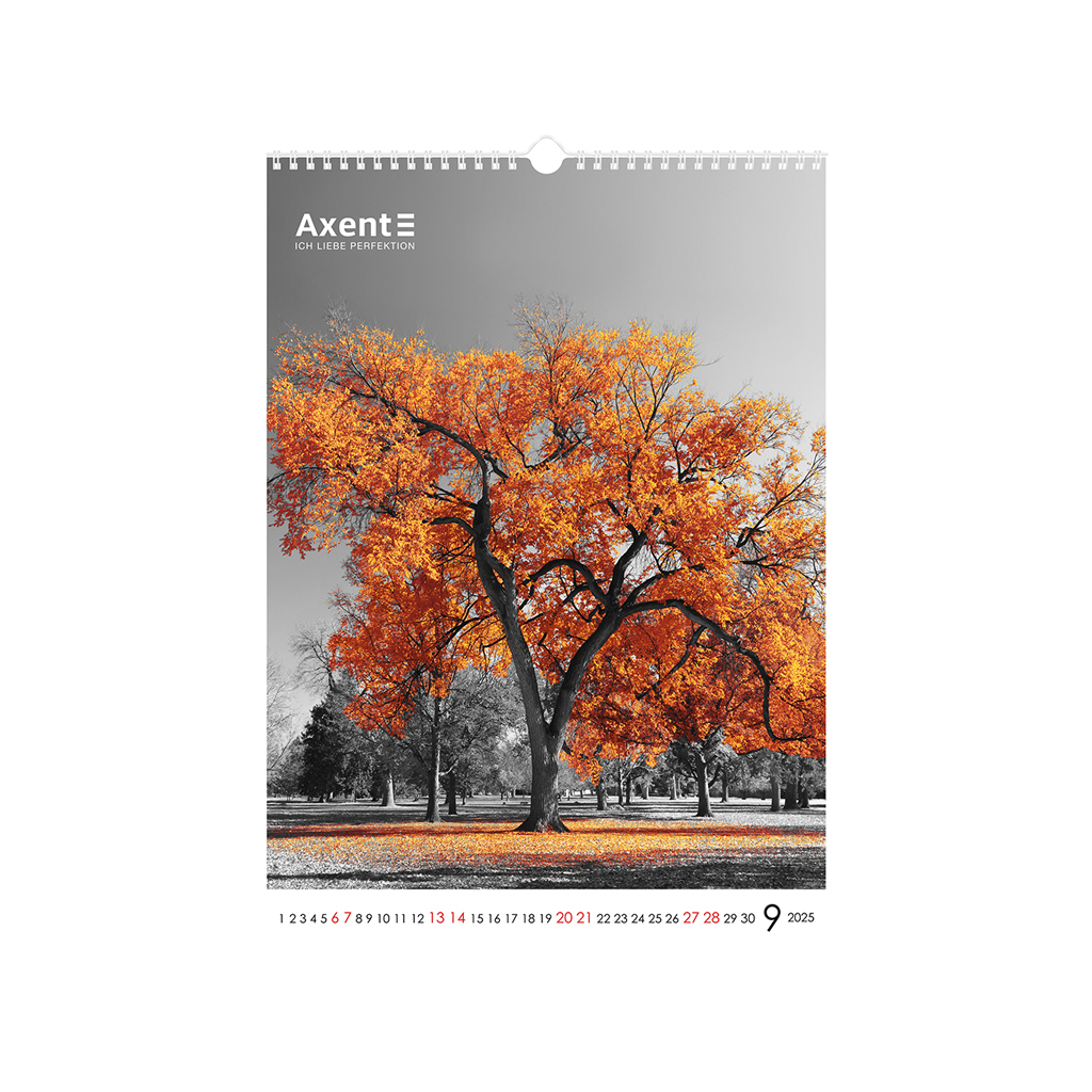 Календар Axent настінний А3 2025 рік One color art (8804-25-2-A) - зображення 10