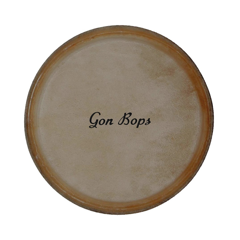 Пластик для барабана Gon Bops 10.75" Tumbao Pro Quinto Head (SP2019) - изображение 1