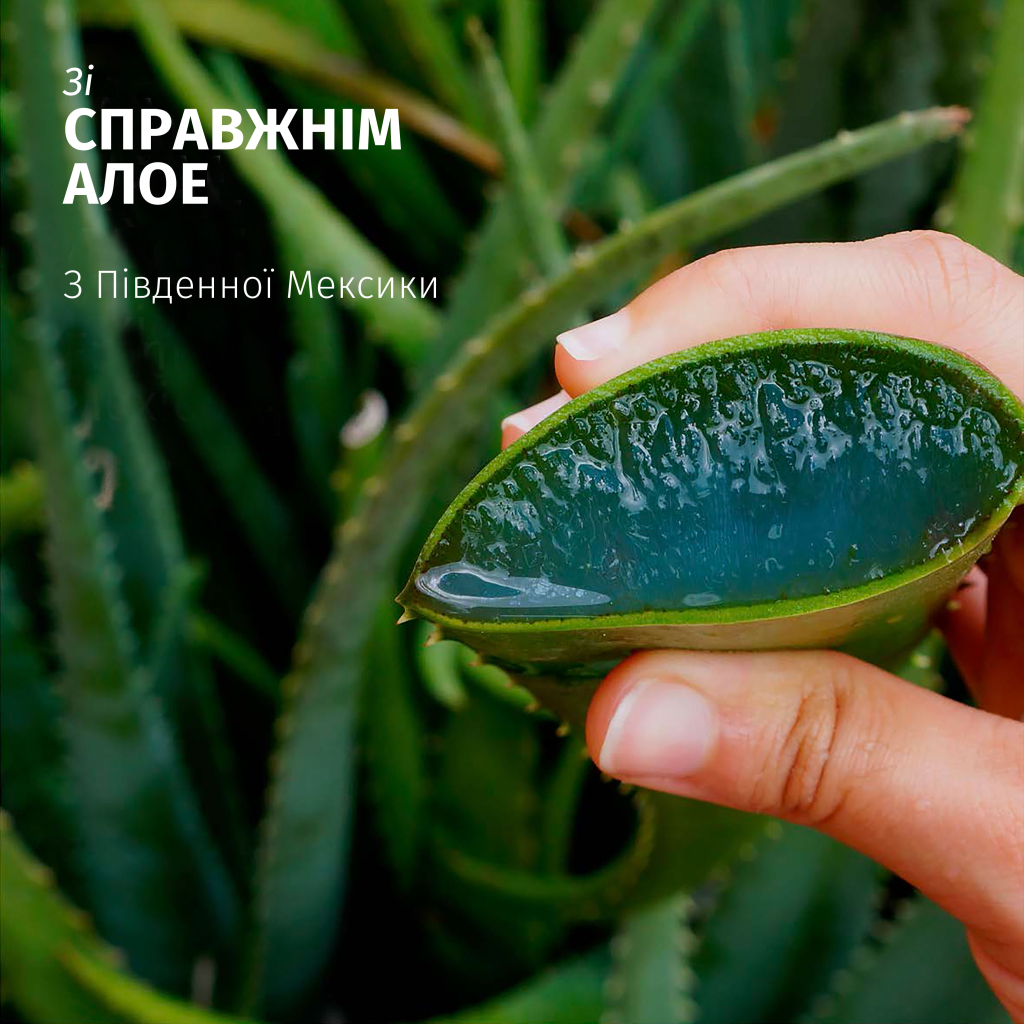 Шампунь Herbal Essences Зволоження Алое 350 мл (8700216211048) - зображення 2