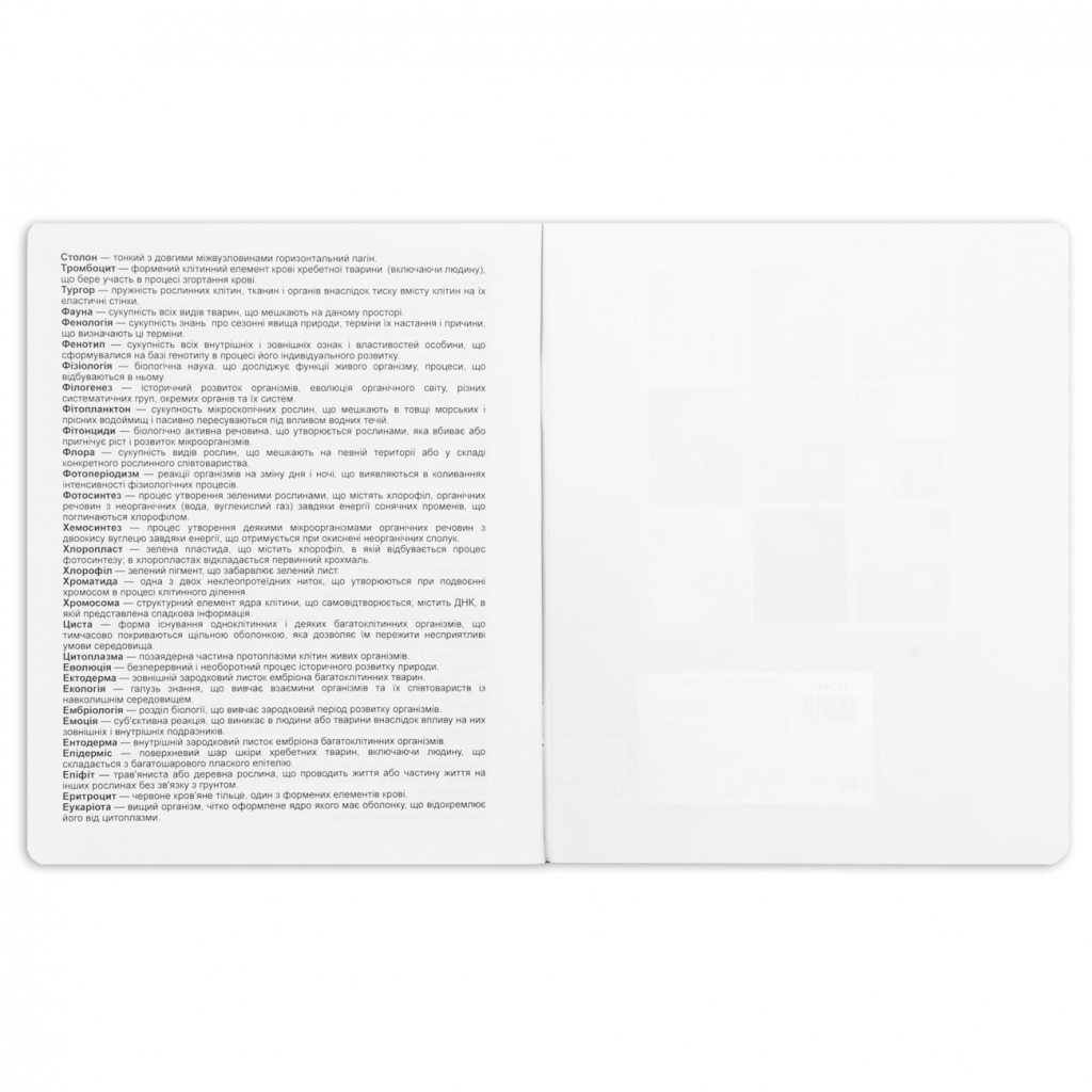 Зошит Yes предметний БІОЛОГІЯ Anime 48 аркушів, клітинка (767444) - зображення 4