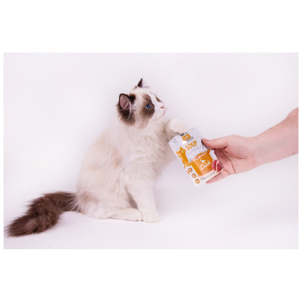 Вологий корм для кішок Brit Care Soup with Duck з качкою 75 г (8595602569182) - зображення 7