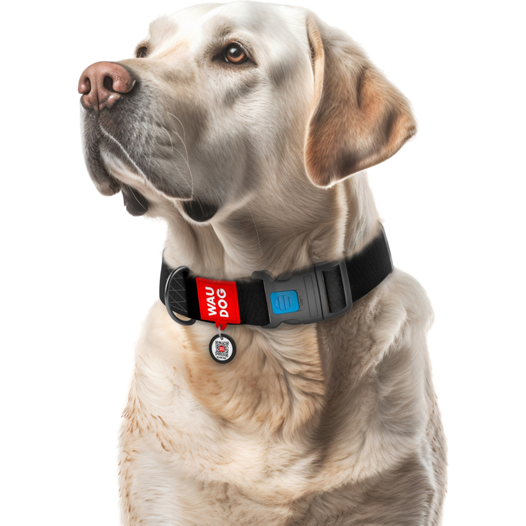 Нашийник для тварин WAUDOG Waterproof з QR паспортом пластиковий фастекс XXL чорний (25111) - зображення 4