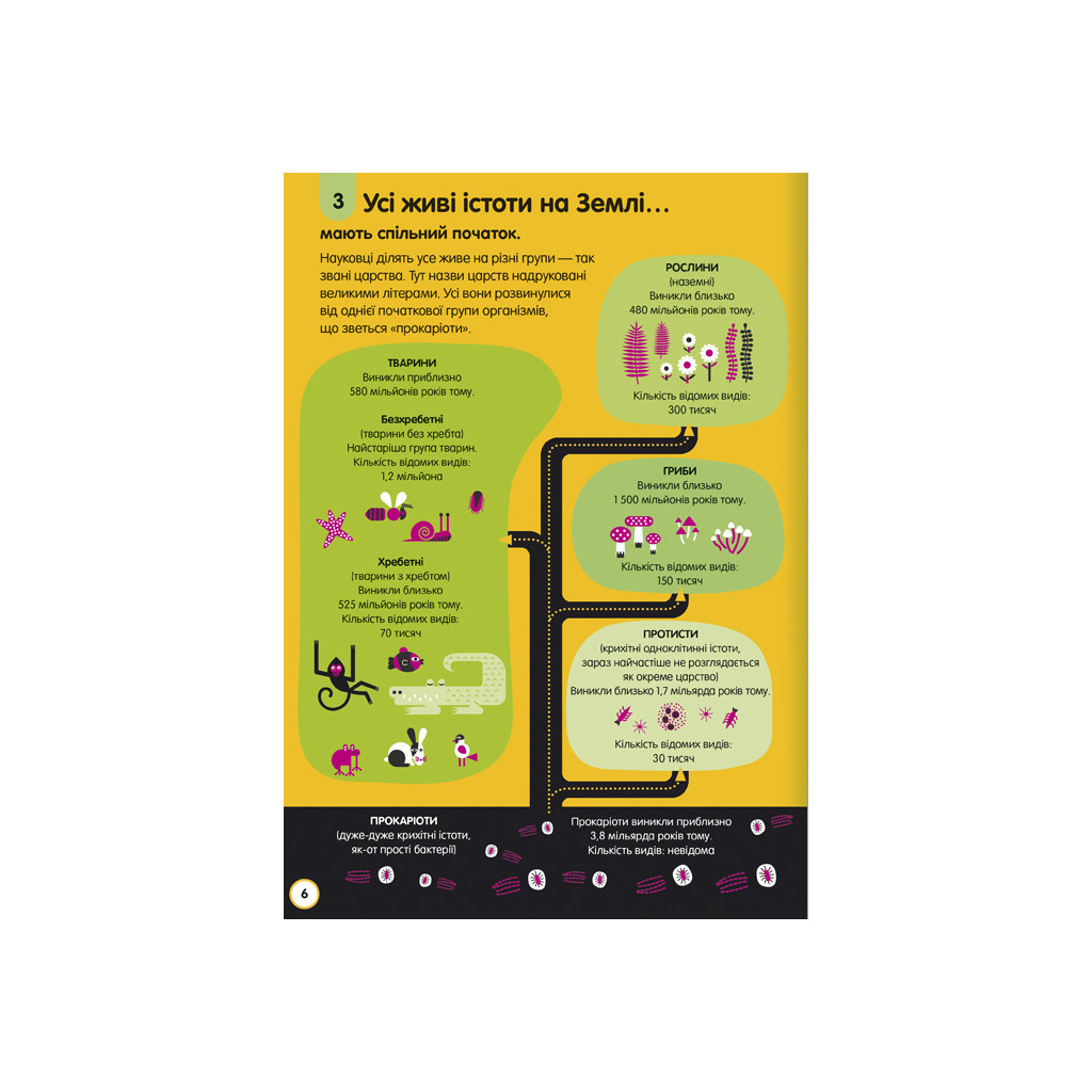 Книга 100 фактів про науку #книголав (9786177820962) - зображення 8