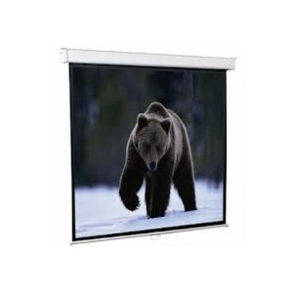 Проекційний екран Redleaf SGM-4302 - зображення 1