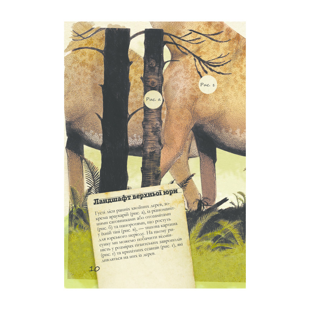 Книга Юрський період: Динозаври та інші давні тварини - Хуан Карлос Алонсо КСД (9786171281035) - зображення 9