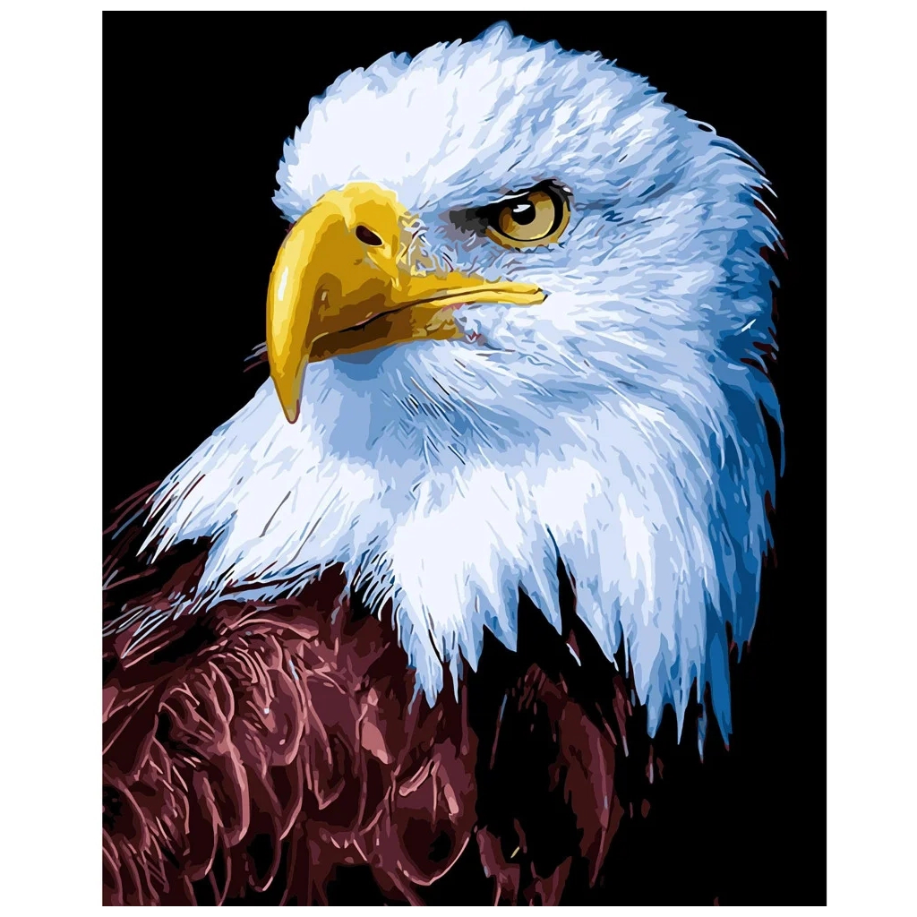 Картина по номерам Strateg Орел 40х50 см (VA-2827) - зображення 1