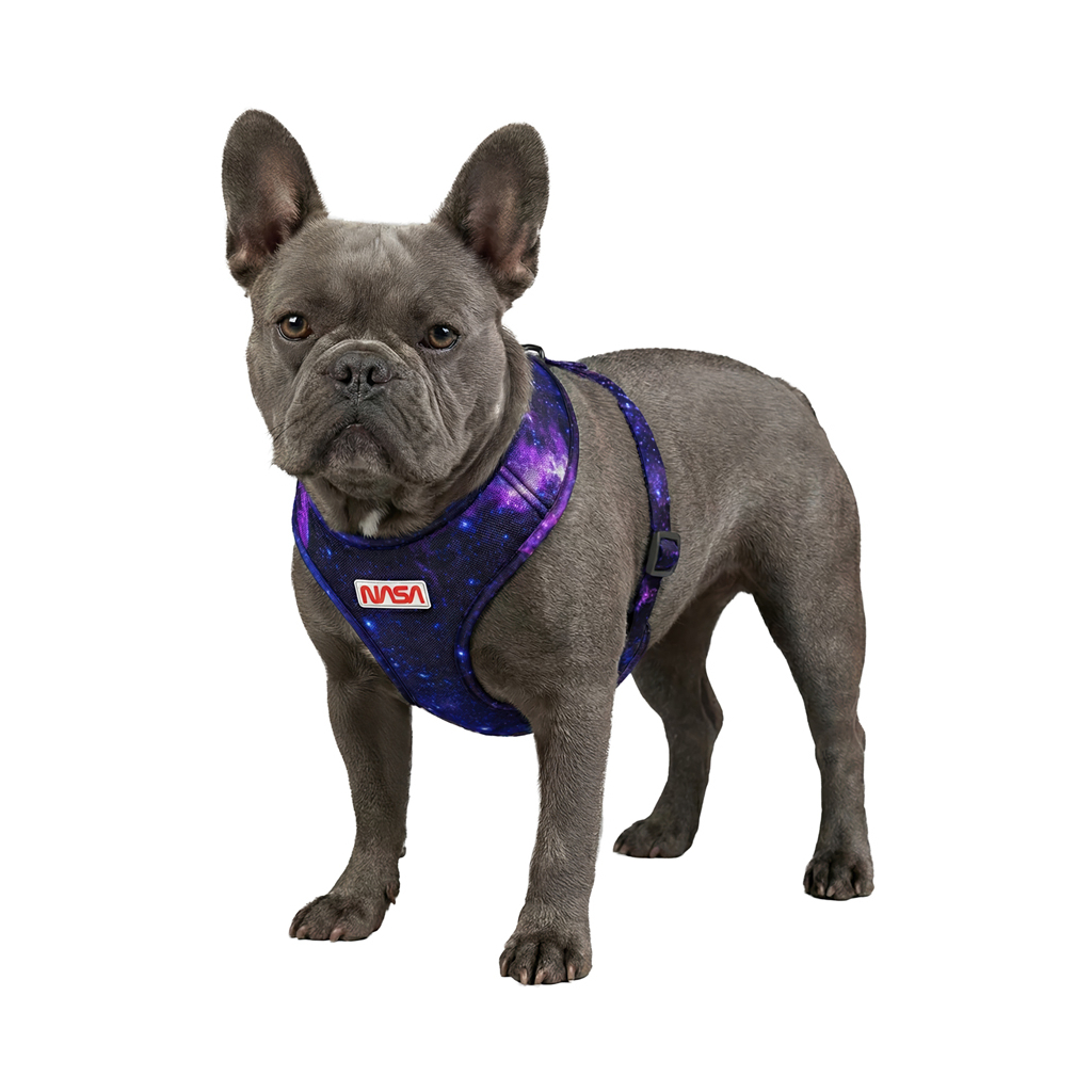 Шлея для собак WAUDOG Mesh дихаюча з QR адресником "NASA21" XS (232-0148) - зображення 4