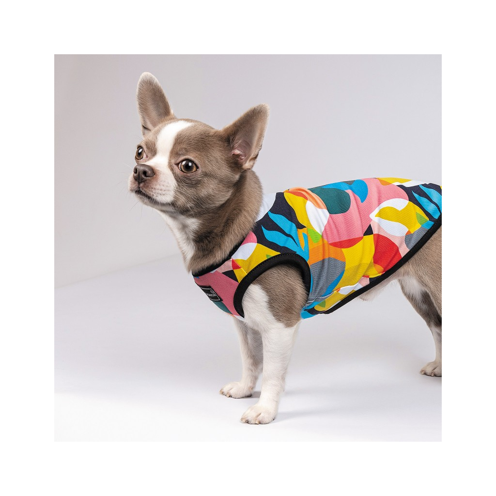 Борцівка для тварин Pet Fashion Cool XS2 різнобарвна (4823082420179) - зображення 6