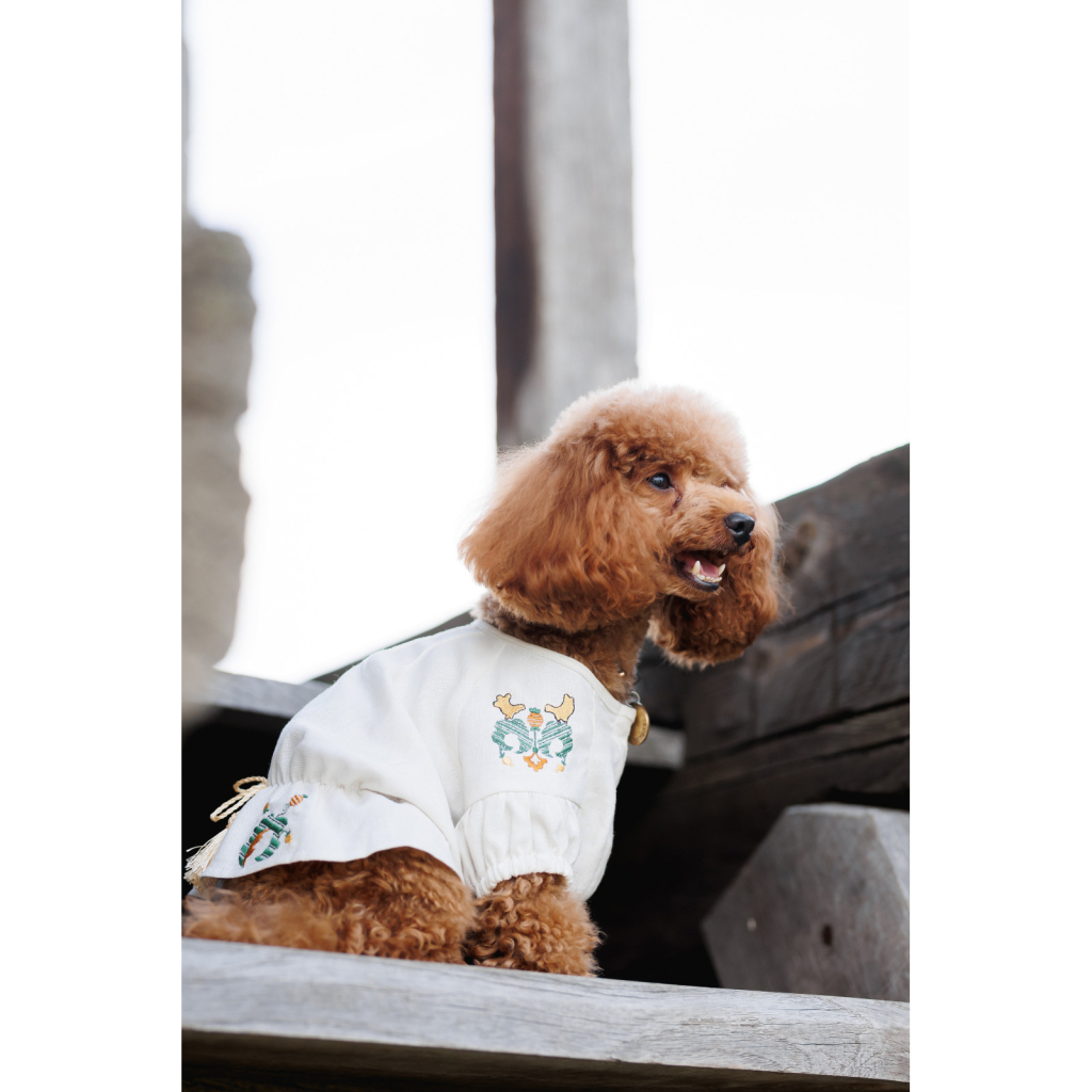 Футболка для тварин Pet Fashion Maryana XS2 (4823082439287) - зображення 9