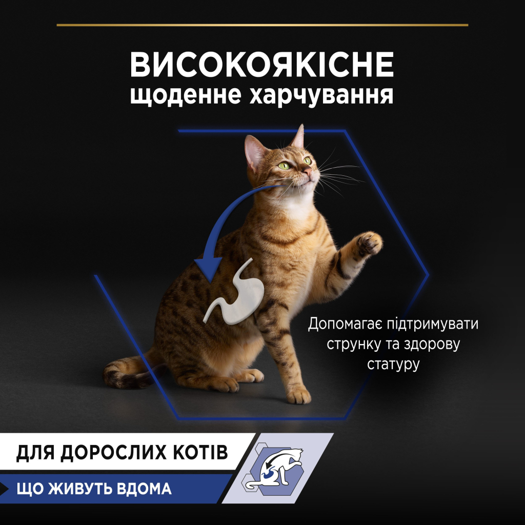 Вологий корм для кішок Purina Pro Plan Adult Indoor Nutrisavour Для кішок, що живуть у приміщенні З лососем 85 г (8445290172990) - зображення 5