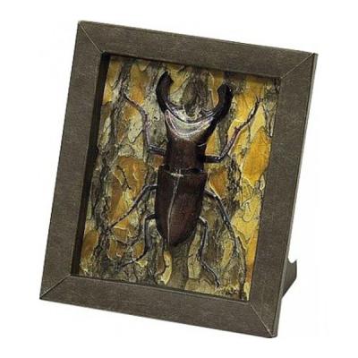 Збірна модель Умная бумага Рамка Жук (243) - зображення 1