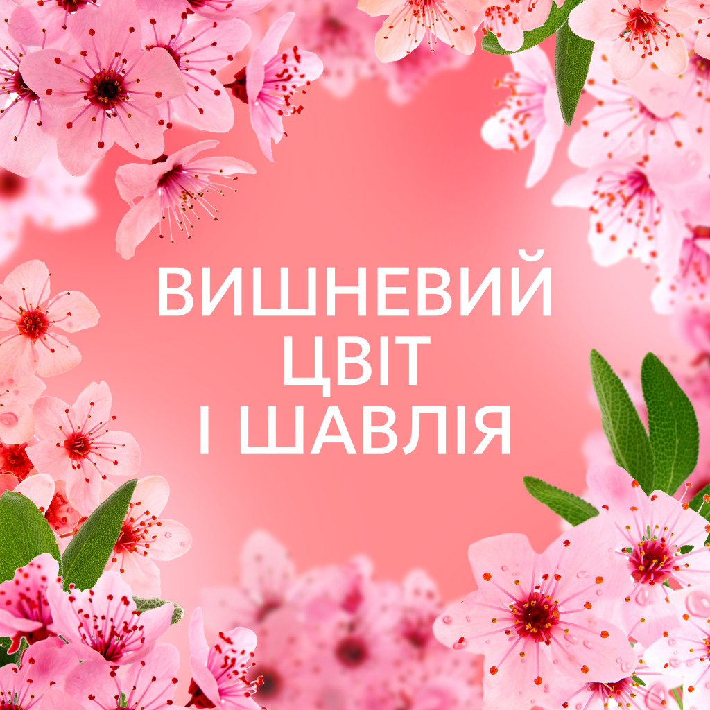 Кондиціонер для білизни Lenor Вишневий цвіт та шавлія 987 мл (8700216724197) - изображение 6