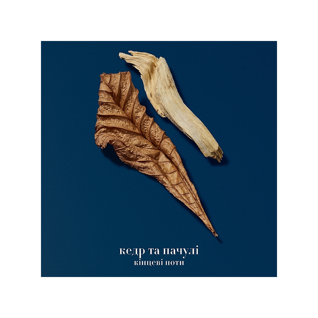 Парфумована вода Giorgio Armani Acqua di Gio Profondo 50 мл (3614273953856) - зображення 4