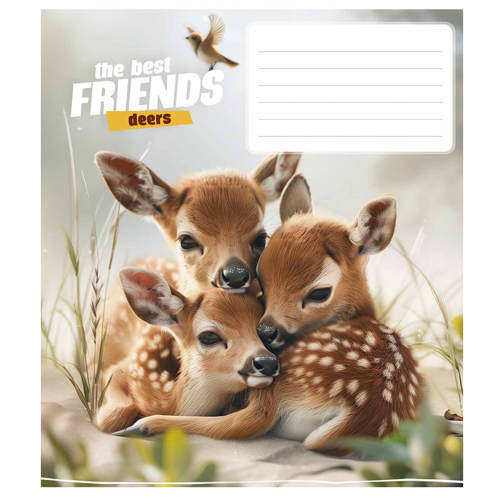 Зошит Школярик The best friends 12 аркушів коса лінія (012-3434C) - изображение 4