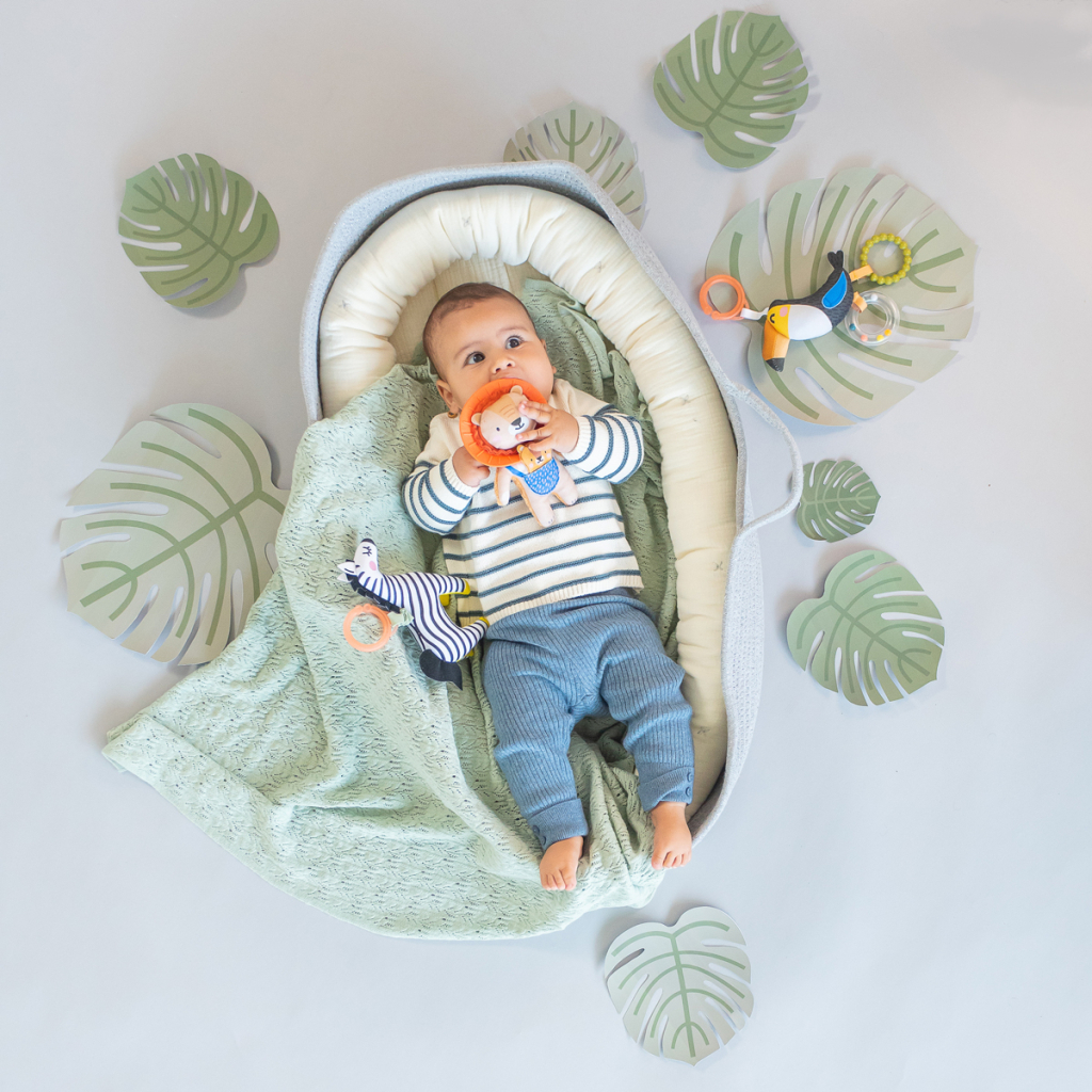 Іграшка на коляску Taf Toys колекції Саванна – Тукан Тукі (12695) - зображення 2