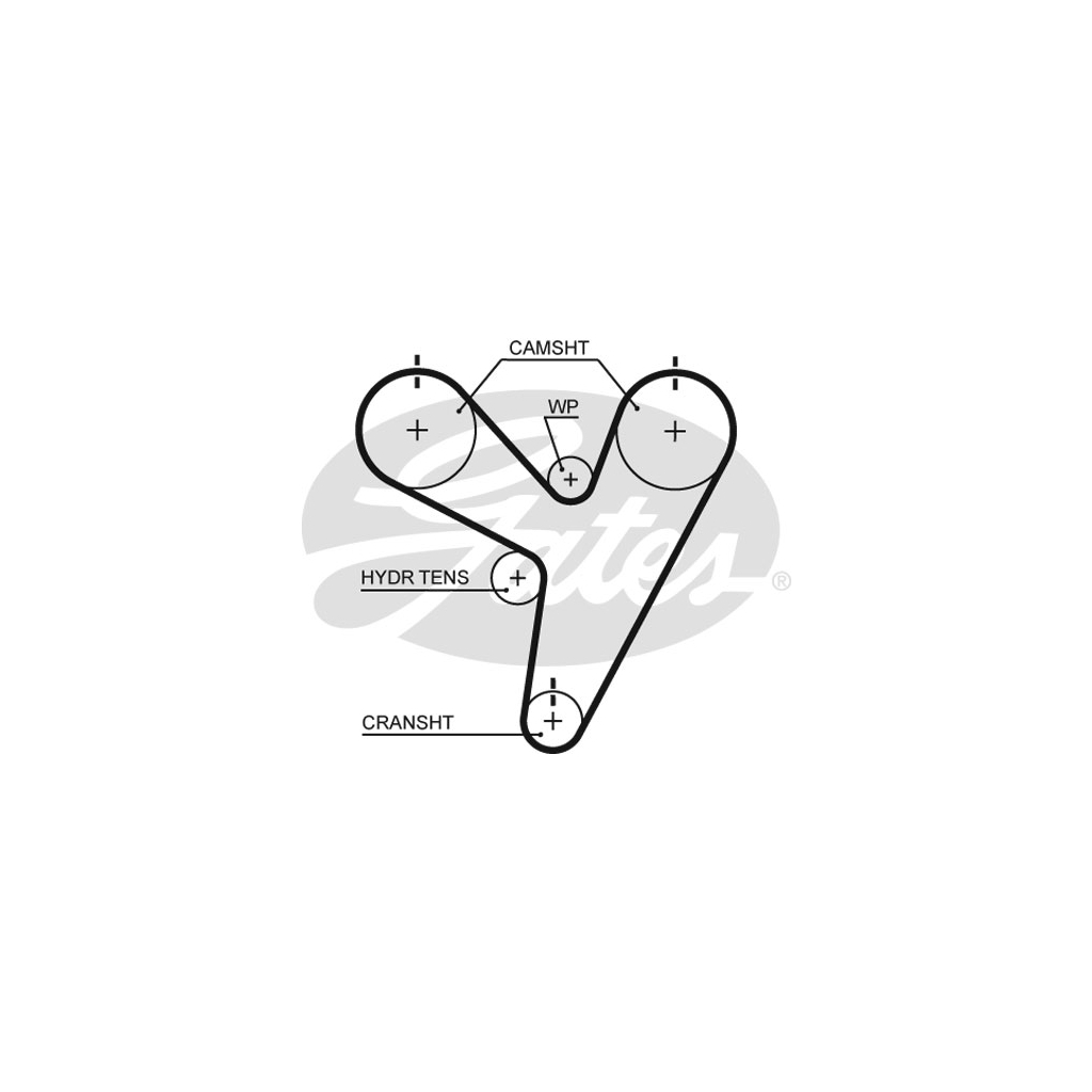 Ремінь ГРМ Gates 5674XS - зображення 1