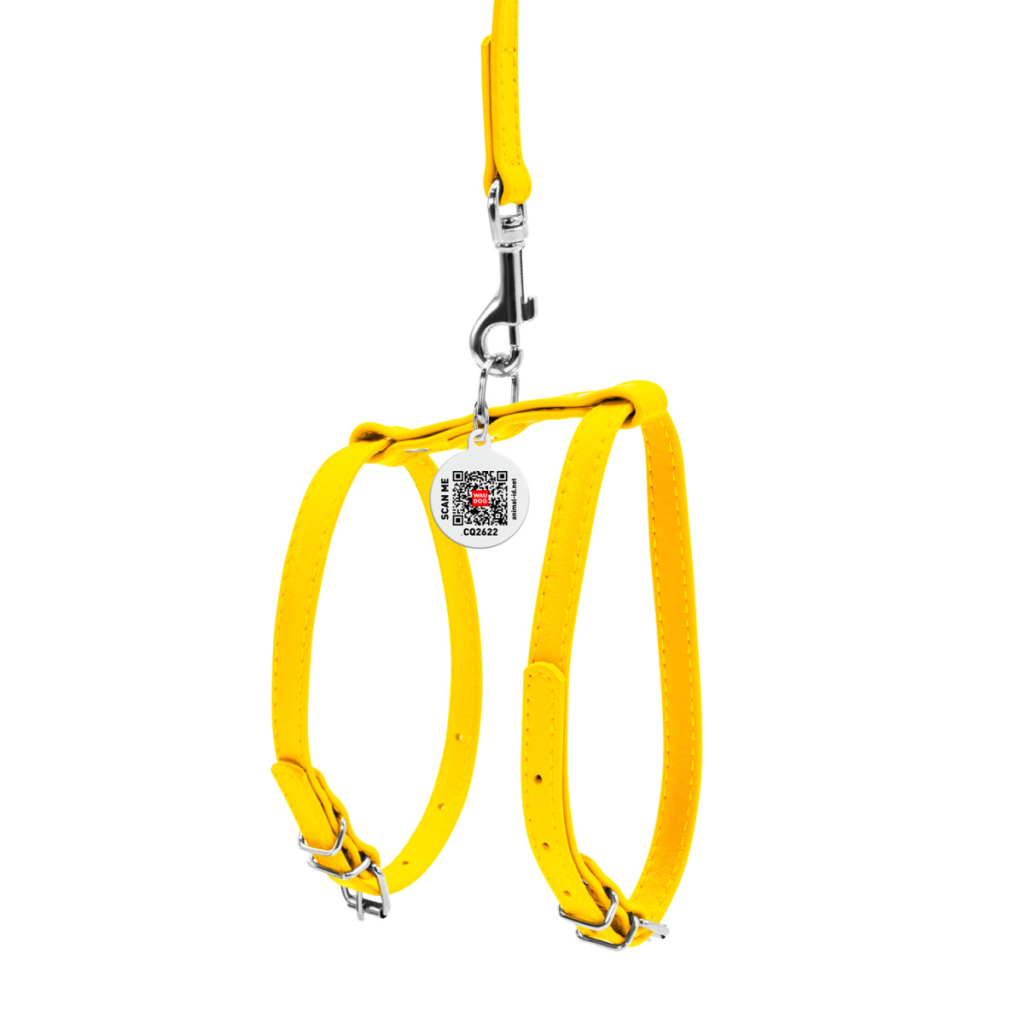 Шлея для собак WAUDOG Glamour з повідцем шкіряна Ш 12 мм А 25-33 см В 35-43 см жовта (34008) - зображення 2