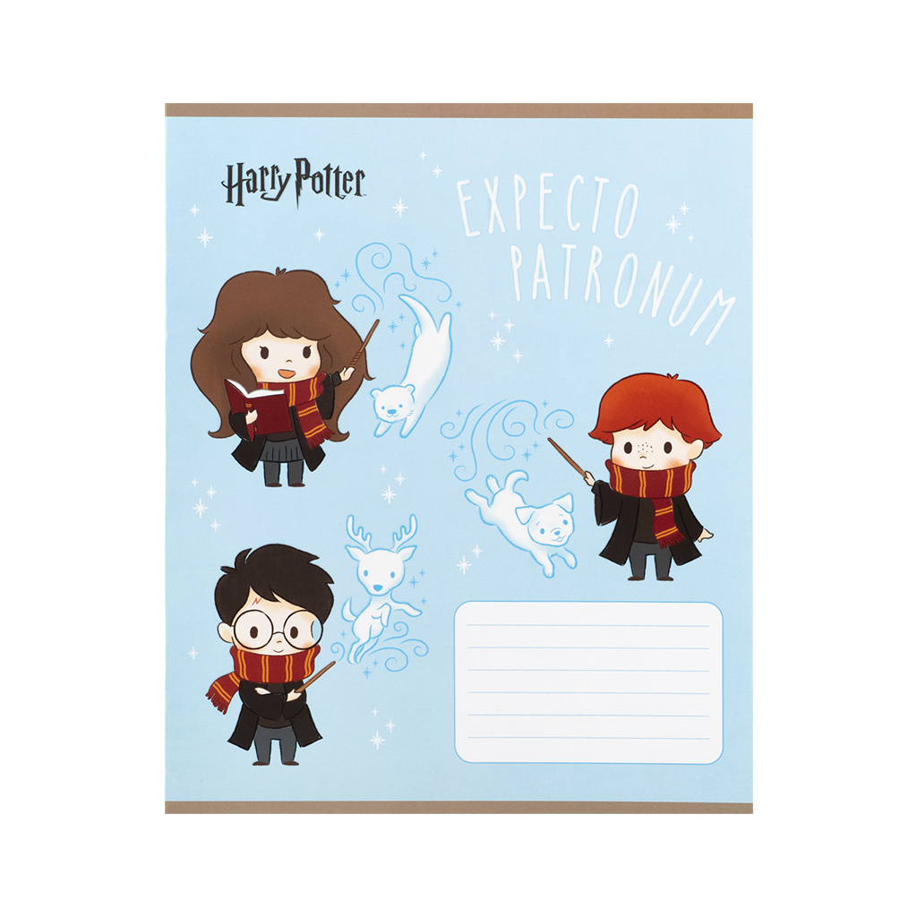 Зошит Kite Harry Potter, 12 аркушів, коса лінія (HP25-235) - зображення 8
