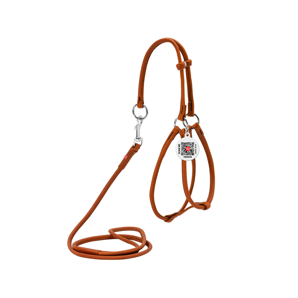 Шлея для собак WAUDOG Soft з QR паспортом кругла Д 6 мм А 42-60 см В 46-64 см коричнева (46206) - зображення 1