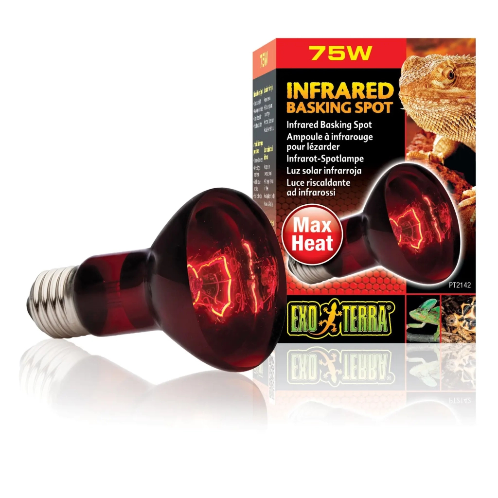 Світильник для тераріума ExoTerra Heat Glo R20/75 Вт (015561221429) - изображение 1