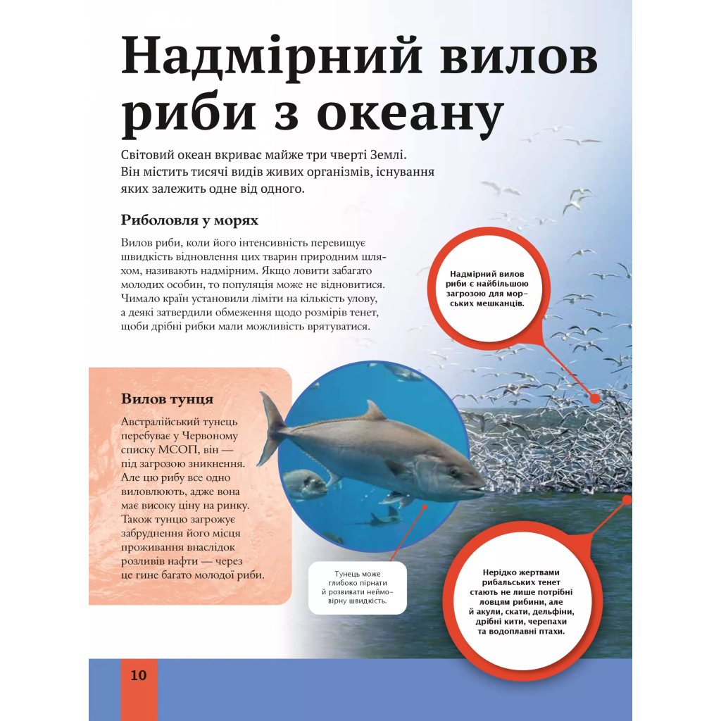 Книга Дитяча енциклопедія довкілля Vivat (9786171704831) - зображення 10