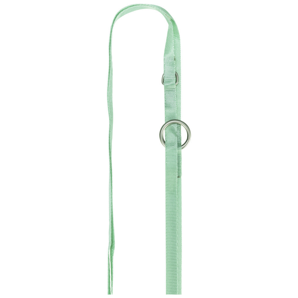 Шлея для собак Trixie з повідцем для цуценят S–M 26–34 см 10 мм м' ятна (4011905155654) - picture 6