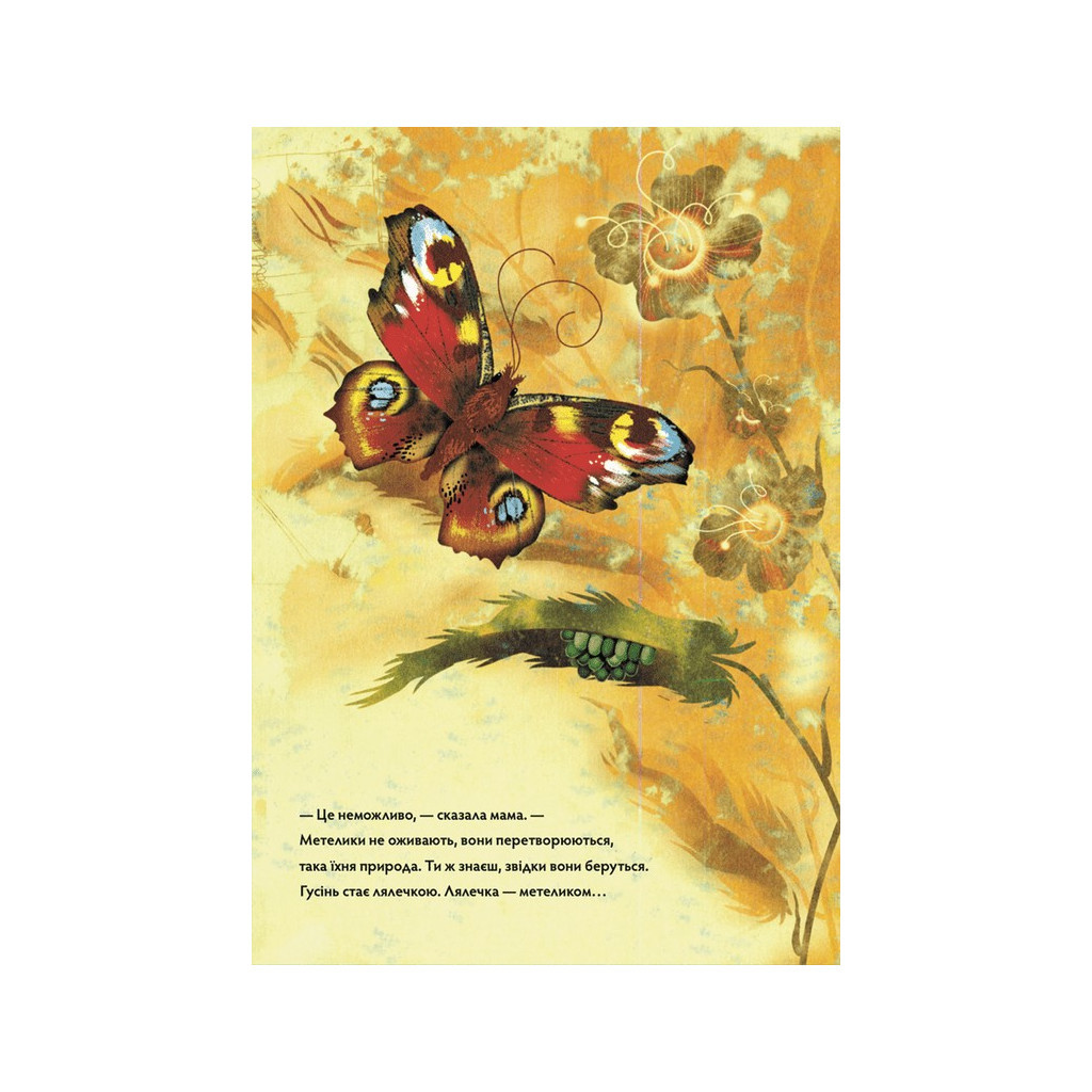 Книга Метелики перетворюються - Галина Вдовиченко Видавництво Старого Лева (9789664481349) - зображення 9