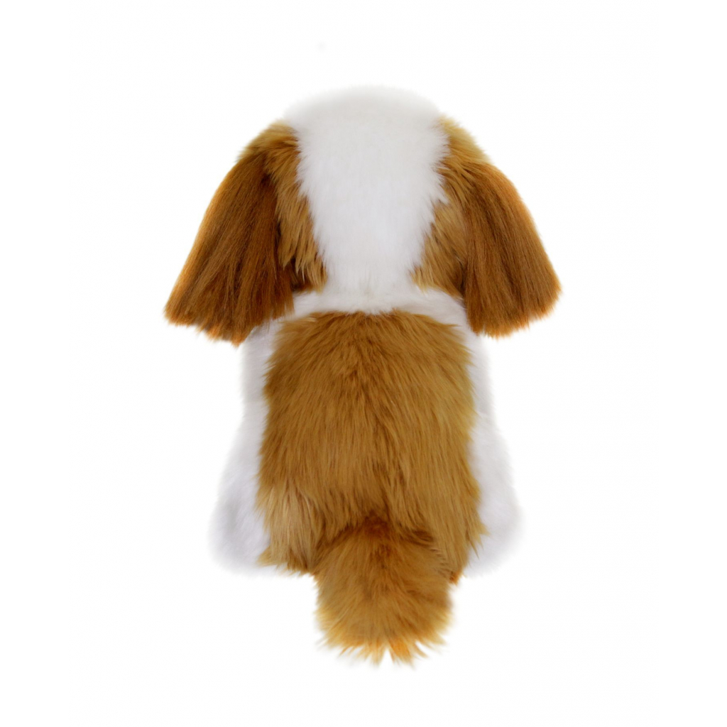 М'яка іграшка Aurora Ши-цу щеня 22 см (180219A) - зображення 3