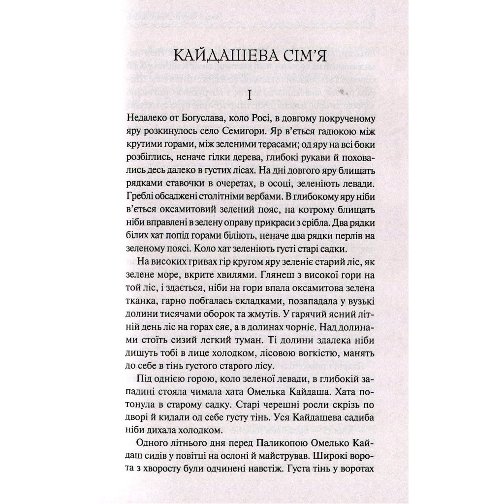Книга Кайдашева сім'я - Іван Нечуй-Левицький КСД (9786171258990) - зображення 4
