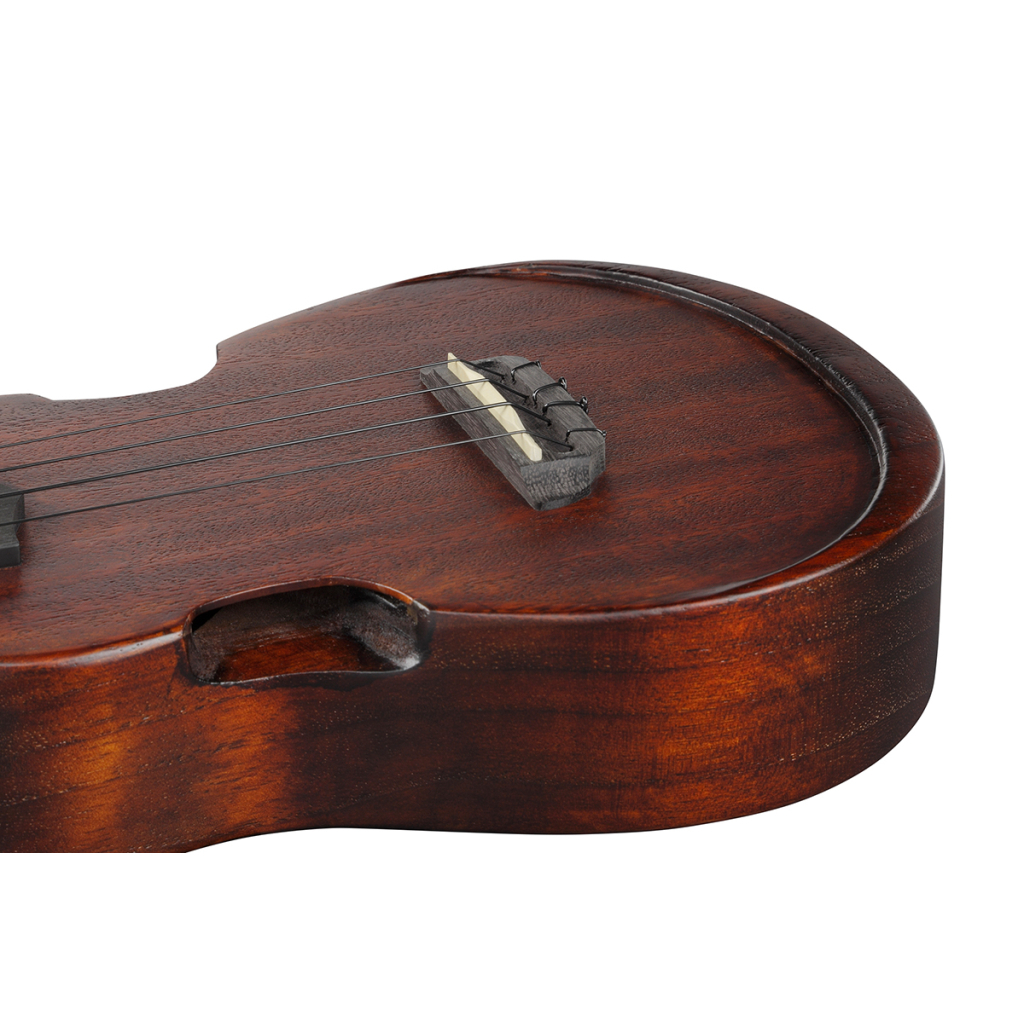 Укулеле Ibanez AUC14 OVL (234982) - зображення 12