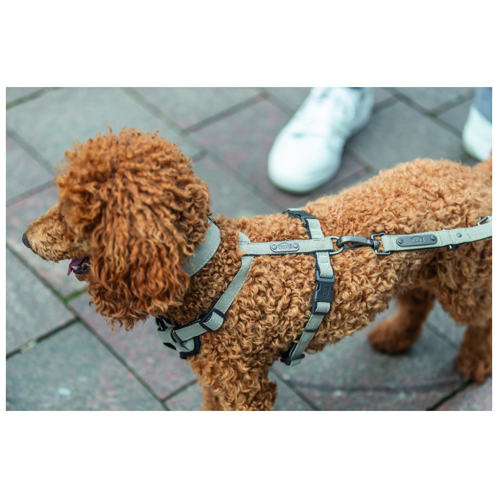 Шлея для собак Trixie CityStyle H-harness Бавовна XS–S 30–44 см 10 мм Світло-сіра (4053032682603) - зображення 2