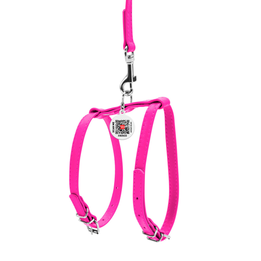 Шлея для собак WAUDOG Glamour з повідцем шкіряна Ш 12 мм А 25-33 см В 35-43 см рожева (34007) - зображення 2