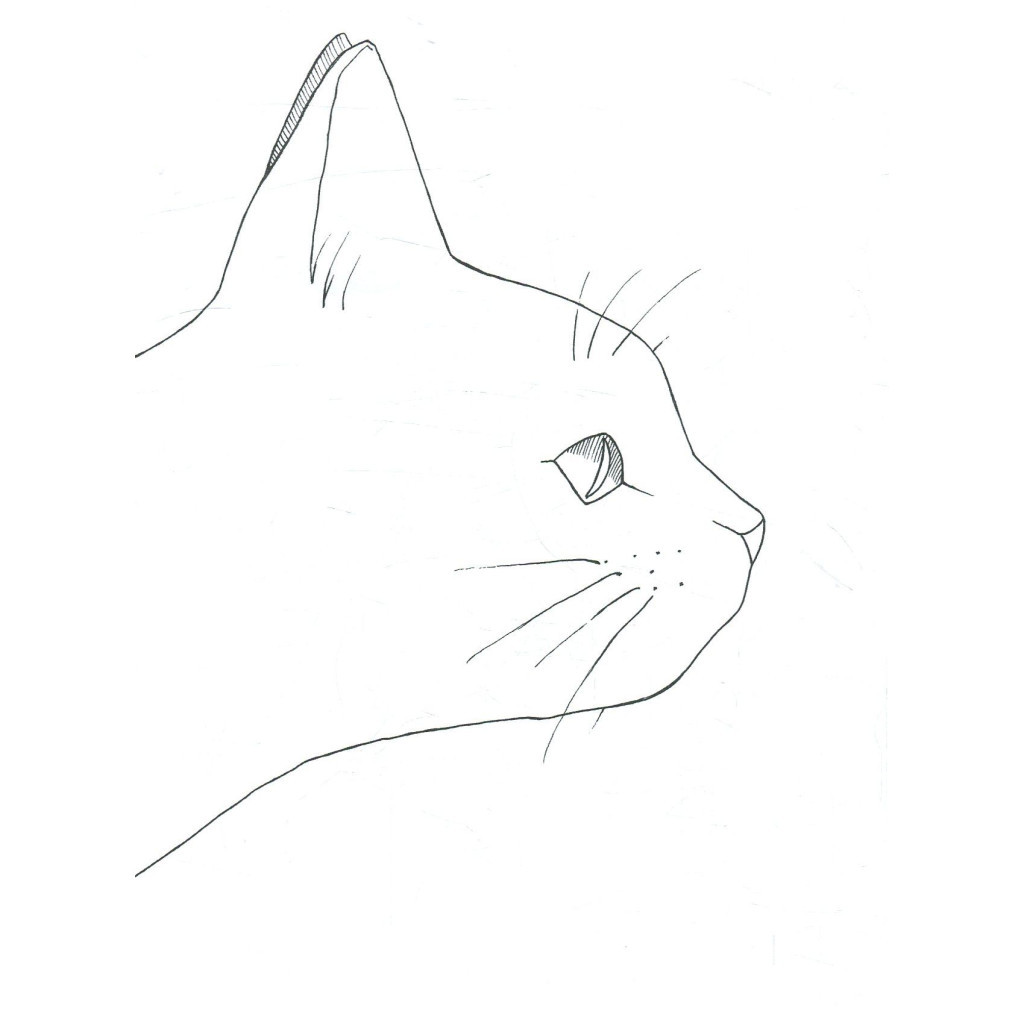 Книга #girls #fashion #cats Жорж (9786177579204) - зображення 11