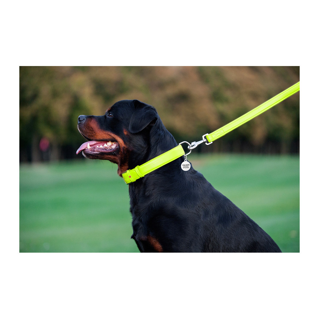 Повідець для собак WAUDOG Glamour шкіряний M-XXL салатовий (33765) - изображение 8