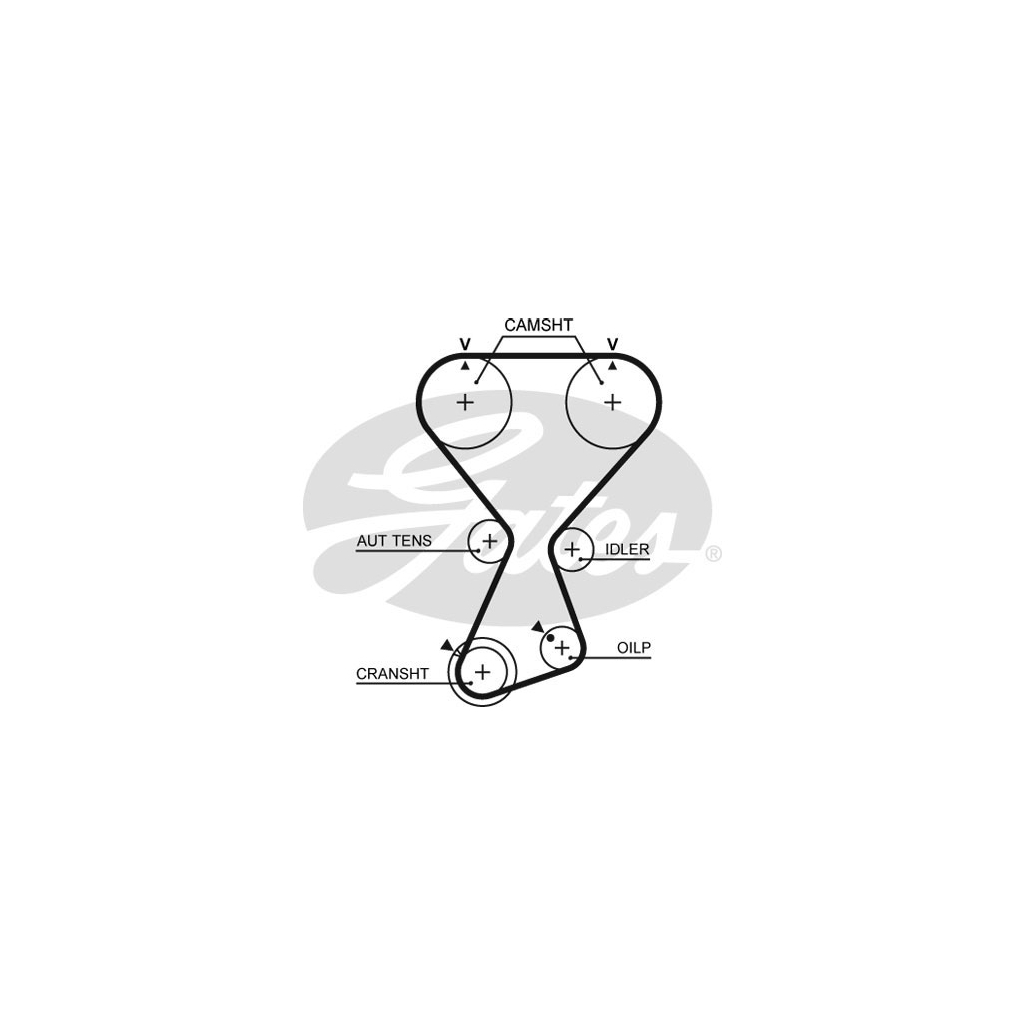 Ремінь ГРМ Gates T313 - зображення 1