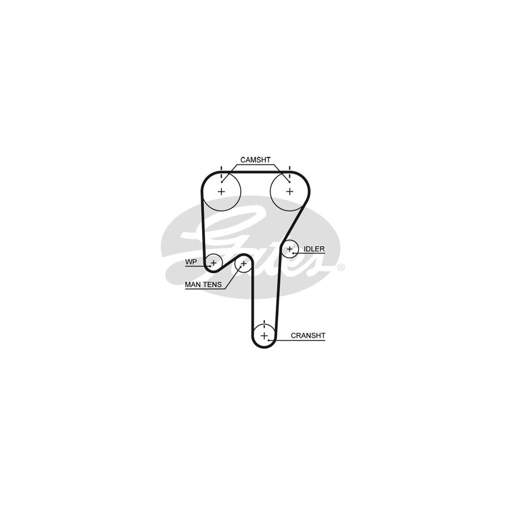 Ремінь ГРМ Gates 5553XS - зображення 1