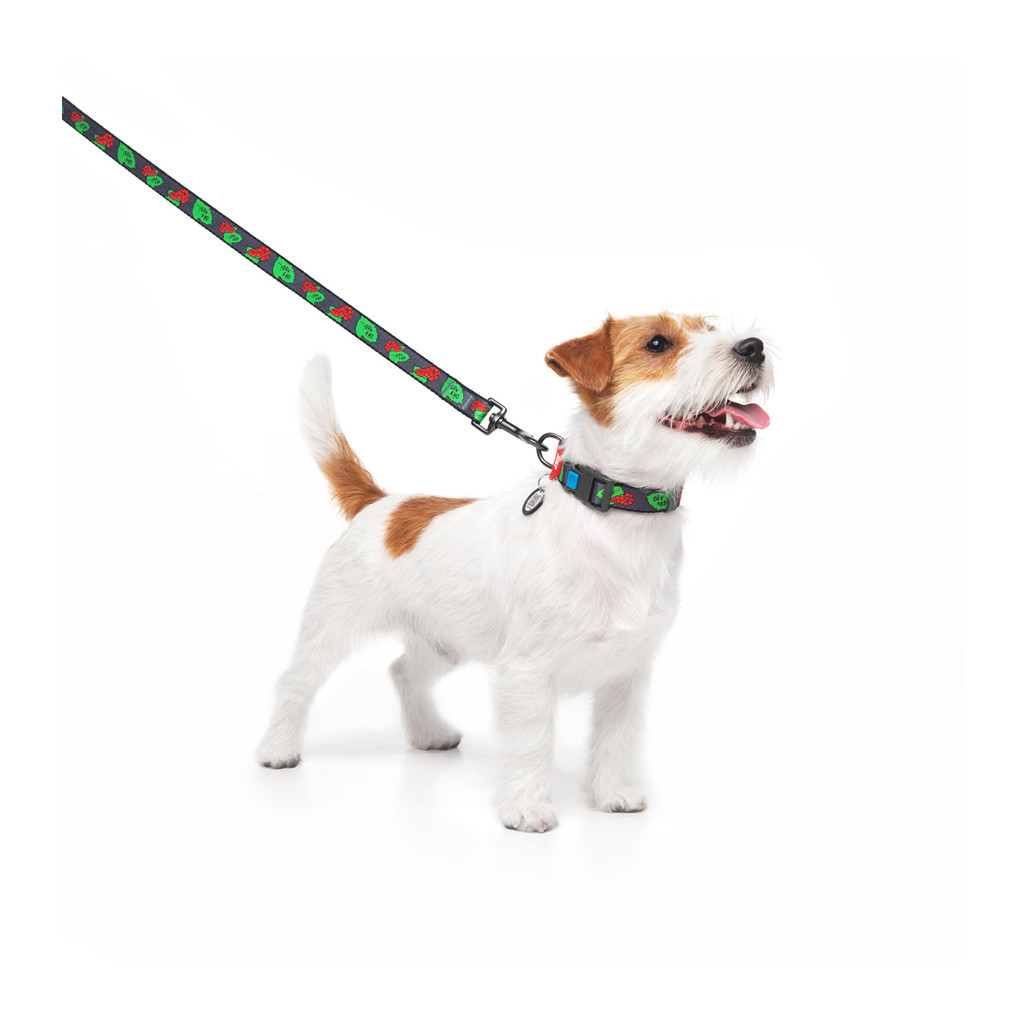 Нашийник для тварин WAUDOG Nylon з QR паспортом "Калина" пластиковий фастекс S (4501-0228) - зображення 3