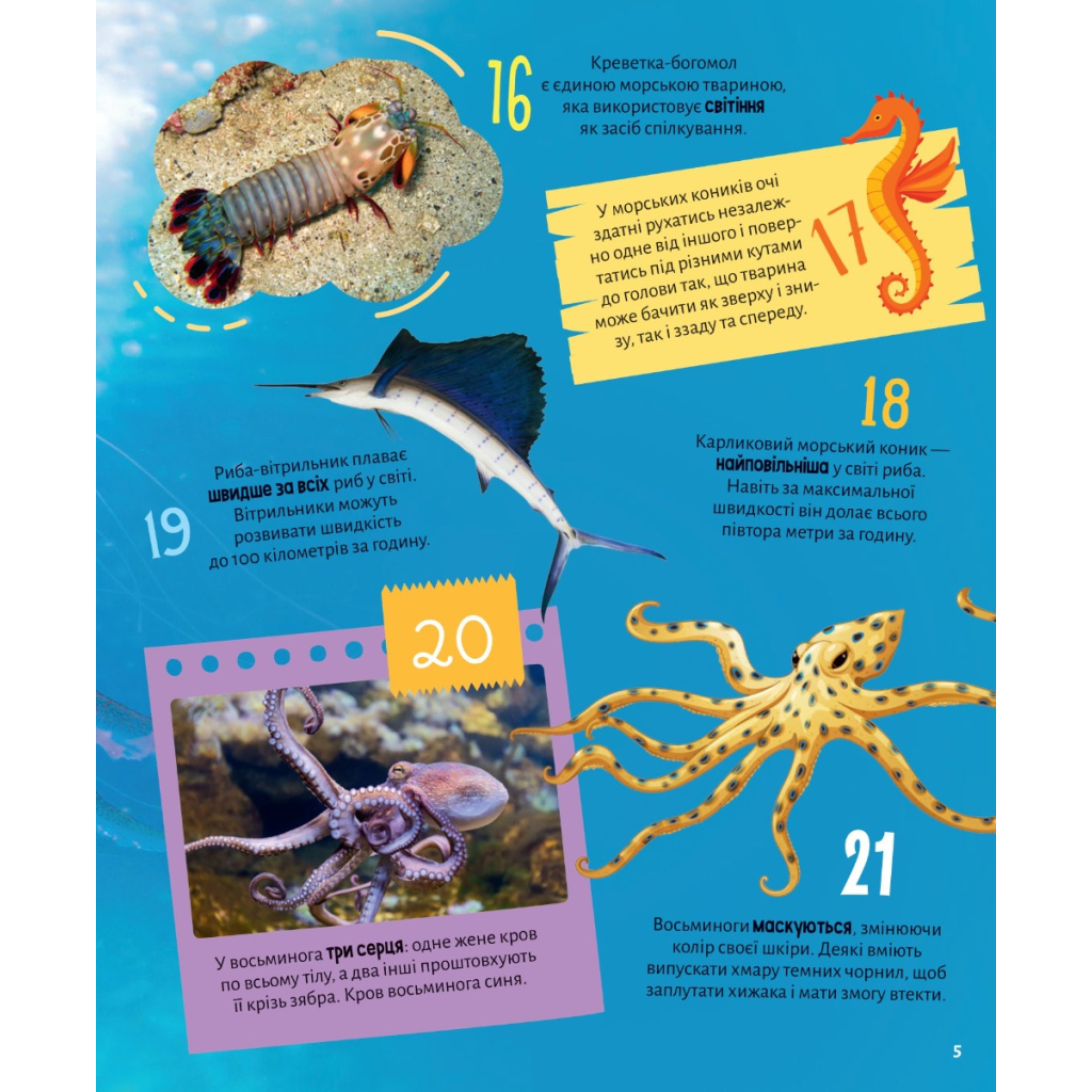 Книга Тварини. 100 цікавих фактів - Ірина Романенко Vivat (9789669829825) - зображення 3