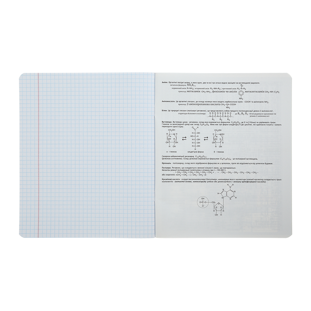 Зошит ZiBi предметний CUTE CAT, 36 аркушів, клітинка, хімія (ZB.1731-39) - зображення 6