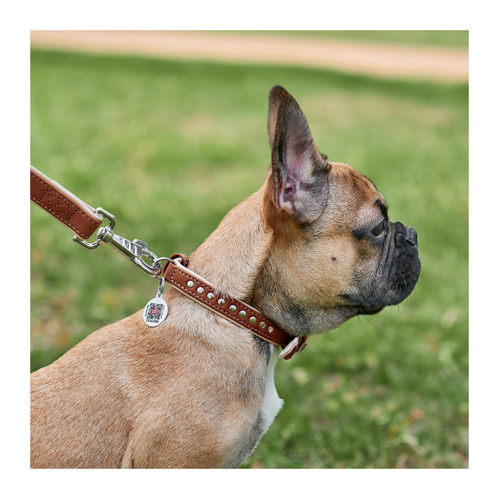 Нашийник для тварин WAUDOG Soft з QR паспортом металічні прикраси XS коричневий (7195) - изображение 5