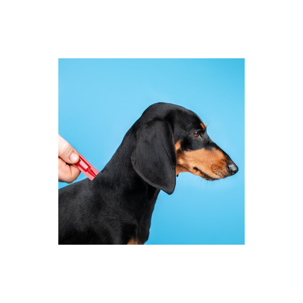 Краплі для тварин ProVET Profiline інсектоакарицид для собак 10-20 кг 4/2 мл (4823082431038) - изображение 3