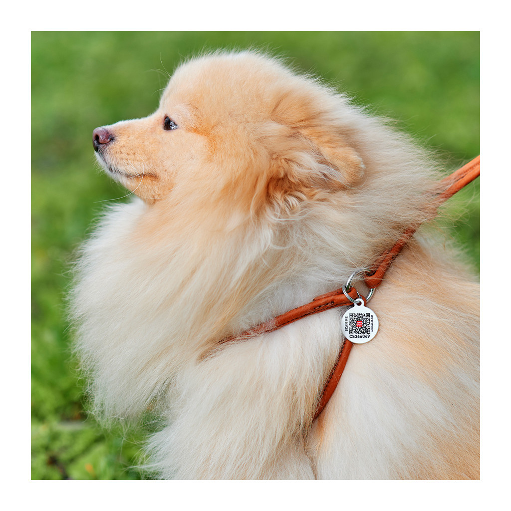 Шлея для собак WAUDOG Soft з QR паспортом кругла Д 6 мм А 42-60 см В 46-64 см коричнева (46206) - зображення 5