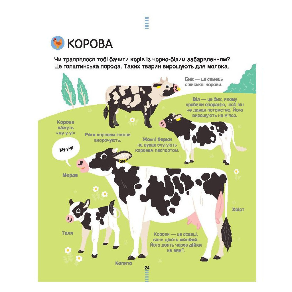 Книга На фермі. Енциклопедія для допитливих - Сесіль Югла #книголав (9786177820382) - зображення 8